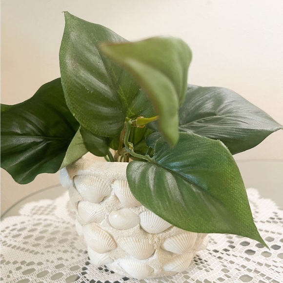 Small Seashell Flower Pot - Picture 5 of 9
